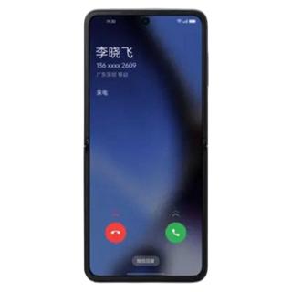 reparation Find N2 Flip Chatou