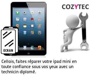 reparation ecran ipad mini La-celle-saint-cloud